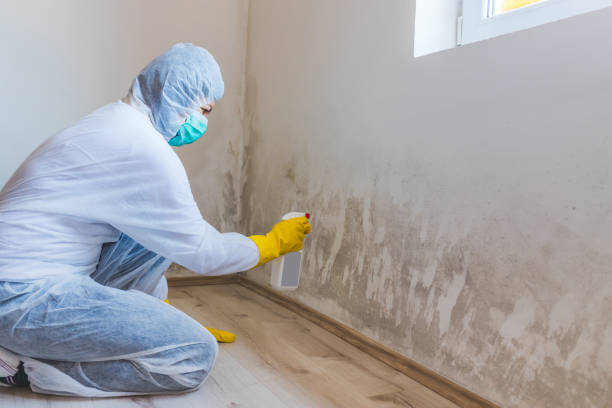 Hvac And Air Duct Mold Remediation inspection of HVAC system in Grasonville